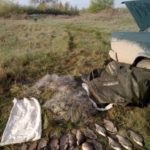 В Саратовской области по итогам рейдов рыбоохраны возбуждено два уголовных дела В Саратовской области по итогам рейдов рыбоохраны возбуждено два уголовных дела