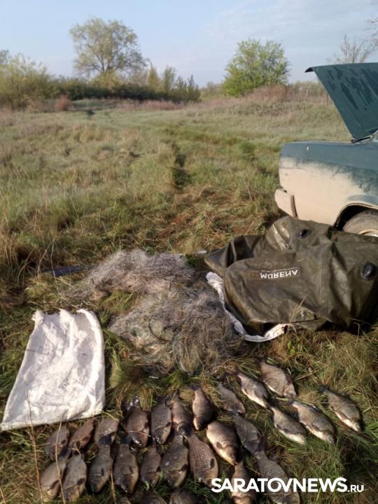 В Саратовской области по итогам рейдов рыбоохраны возбуждено два уголовных дела В Саратовской области по итогам рейдов рыбоохраны возбуждено два уголовных дела