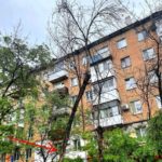 В саратовском сквере вырубят деревья, но обещают посадить новые