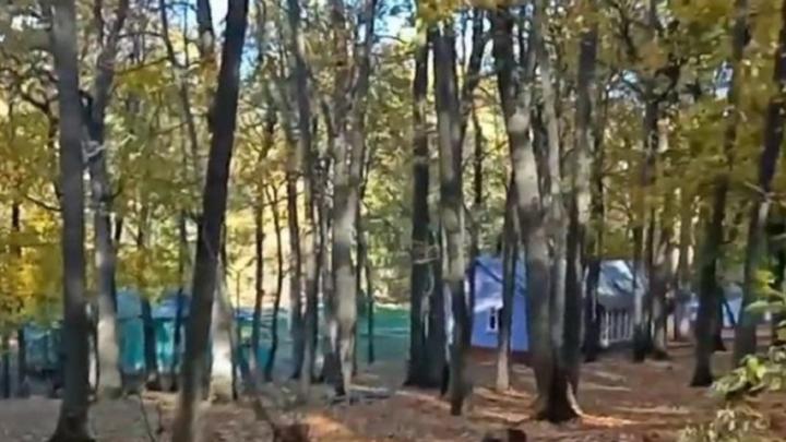 Какие детские лагеря закрылись в Саратовской области Какие детские лагеря закрылись в Саратовской области