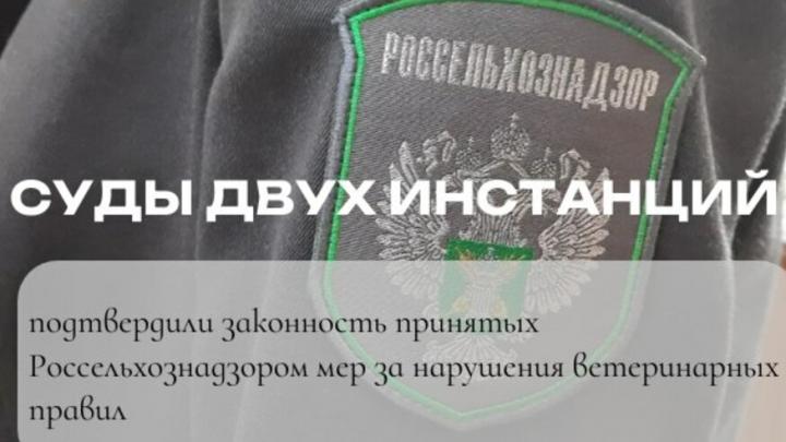 На саратовской птицефабрике выявлены нарушения санитарных правил На саратовской птицефабрике выявлены нарушения санитарных правил
