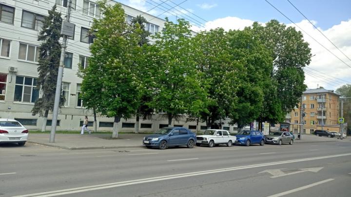 Саратовцам рассказали, когда можно нарушать ПДД Саратовцам рассказали, когда можно нарушать ПДД