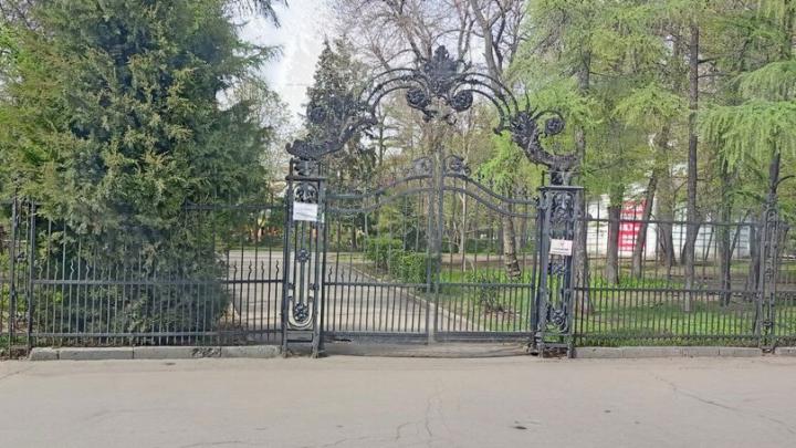 В саратовском саду «Липки» появилось 11 молодых туй В саратовском саду «Липки» появилось 11 молодых туй