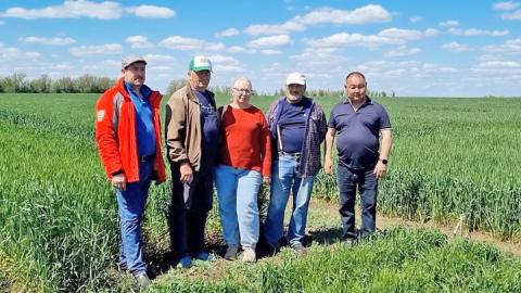 На опытном поле Краснокутской СОС На опытном поле Краснокутской СОС