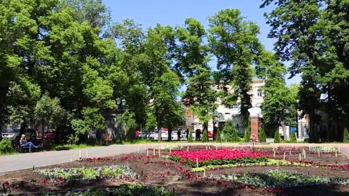 У памятника Пушкину в Липках расцветет ковер У памятника Пушкину в Липках расцветет ковер