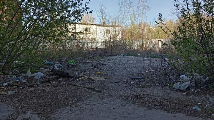 Больше 30 тысяч тонн мусора: со Столыпинского парка требуют 32 млн за ущерб природе Больше 30 тысяч тонн мусора: со Столыпинского парка требуют 32 млн за ущерб природе