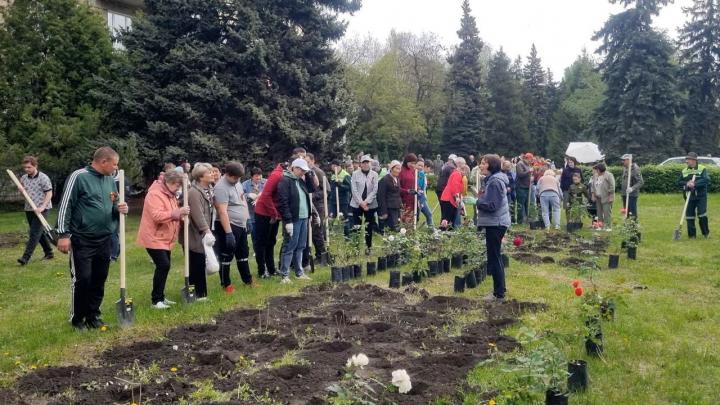 Розы в память о героях Великой Отечественной войны Розы в память о героях Великой Отечественной войны