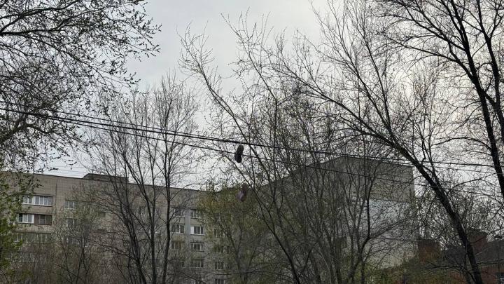 Шторм с порывами до 15 м/с: МЧС предупреждает саратовцев о непогоде