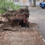 Ветер навертел: в Саратове ураган рвал провода и газовые трубы, валил деревья Ветер навертел: в Саратове ураган рвал провода и газовые трубы, валил деревья