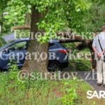 Ветер навертел: в Саратове ураган рвал провода и газовые трубы, валил деревья Ветер навертел: в Саратове ураган рвал провода и газовые трубы, валил деревья