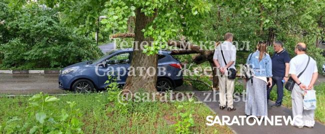 Ветер навертел: в Саратове ураган рвал провода и газовые трубы, валил деревья Ветер навертел: в Саратове ураган рвал провода и газовые трубы, валил деревья