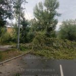 Ветер навертел: в Саратове ураган рвал провода и газовые трубы, валил деревья Ветер навертел: в Саратове ураган рвал провода и газовые трубы, валил деревья