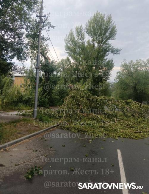 Ветер навертел: в Саратове ураган рвал провода и газовые трубы, валил деревья Ветер навертел: в Саратове ураган рвал провода и газовые трубы, валил деревья