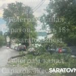 Ветер навертел: в Саратове ураган рвал провода и газовые трубы, валил деревья Ветер навертел: в Саратове ураган рвал провода и газовые трубы, валил деревья