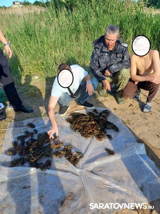 По итогам работы рыбоохраны Саратовской области будет возбуждено 7 уголовных дел По итогам работы рыбоохраны Саратовской области будет возбуждено 7 уголовных дел