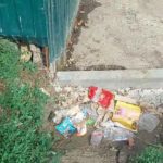 Контейнерная помойка на Батавина в Саратове перемещается на детские площадки