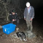 В Саратове на двух браконьеров будут заводить уголовные дела