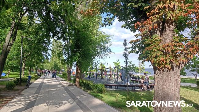 День молодёжи: саратовцы пели, танцевали на набережной и проходили тест на ВИЧ День молодёжи: саратовцы пели, танцевали на набережной и проходили тест на ВИЧ
