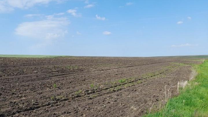 В Саратовской области 55 га земель вовлечено в сельхозоборот В Саратовской области 55 га земель вовлечено в сельхозоборот