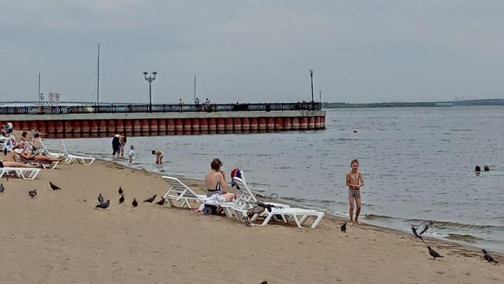 Волга прогрелась до +18 градусов: где в Саратовской области уже можно купаться Волга прогрелась до +18 градусов: где в Саратовской области уже можно купаться
