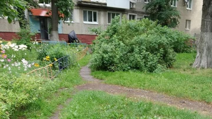 Ещё больше дворов в порядок: в Саратове расширили список адресов ремонта дворов Ещё больше дворов в порядок: в Саратове расширили список адресов ремонта дворов