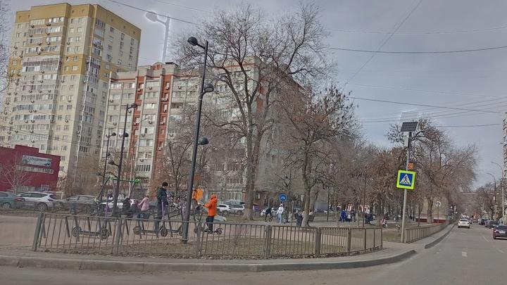 «Накатался и выкинул»: в Саратове дорогой самокат обнаружили в помойке «Накатался и выкинул»: в Саратове дорогой самокат обнаружили в помойке
