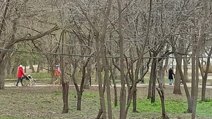 В саратовской думе предложили меры для решения демографических проблем в регионе В саратовской думе предложили меры для решения демографических проблем в регионе