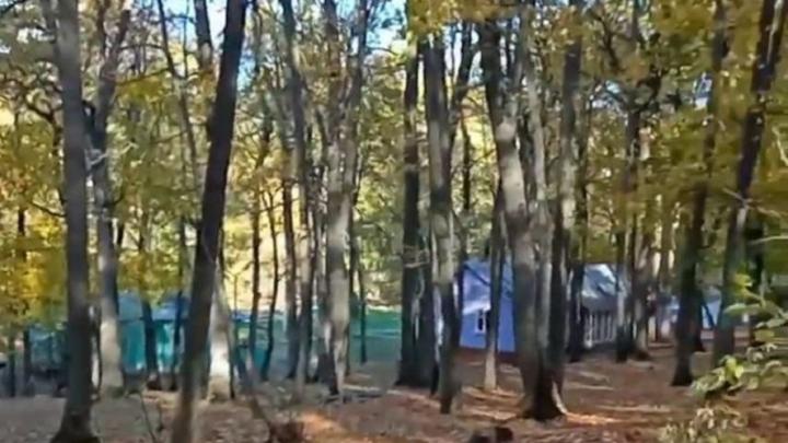 На оздоровительную кампанию в Саратовской области предусмотрено более 1 млрд рублей На оздоровительную кампанию в Саратовской области предусмотрено более 1 млрд рублей