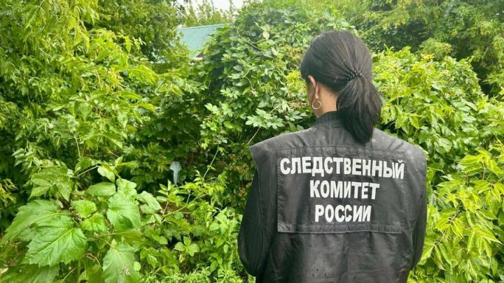 Под Энгельсом смертельно отравился ребенок Под Энгельсом смертельно отравился ребенок