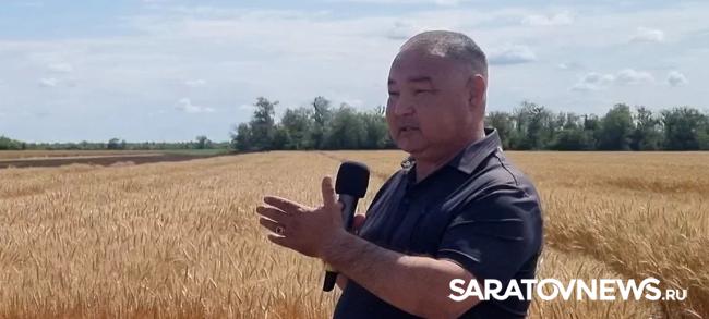 Главный герой Дня поля озимая пшеница Главный герой Дня поля озимая пшеница