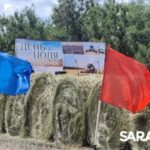 Главный герой Дня поля озимая пшеница Главный герой Дня поля озимая пшеница