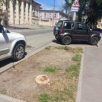 Пеньки в городе: в Саратове срубили несколько деревьев на улице Чернышевского Пеньки в городе: в Саратове срубили несколько деревьев на улице Чернышевского