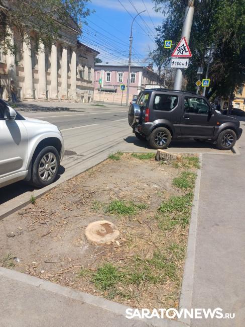 Пеньки в городе: в Саратове срубили несколько деревьев на улице Чернышевского Пеньки в городе: в Саратове срубили несколько деревьев на улице Чернышевского