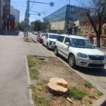 Пеньки в городе: в Саратове срубили несколько деревьев на улице Чернышевского Пеньки в городе: в Саратове срубили несколько деревьев на улице Чернышевского