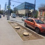 Пеньки в городе: в Саратове срубили несколько деревьев на улице Чернышевского Пеньки в городе: в Саратове срубили несколько деревьев на улице Чернышевского