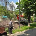 На бульваре Рахова в Саратове спиливают деревья — горожане снова возмущены На бульваре Рахова в Саратове спиливают деревья — горожане снова возмущены