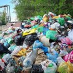 «Горы мусора и крысы»: саратовцы жалуются на работу «Ситиматика»