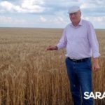 В ЗАКРОМАХ ЗЕРНО НОВОГО УРОЖАЯ