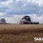 В ЗАКРОМАХ ЗЕРНО НОВОГО УРОЖАЯ