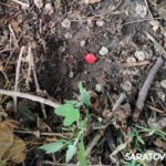 В Саратове задержаны двое мигрантов-закладчиков В Саратове задержаны двое мигрантов-закладчиков