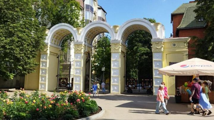Лето в горпарке: саратовцев ждут танцы, литературные вечера и бесплатные катания для детей Лето в горпарке: саратовцев ждут танцы, литературные вечера и бесплатные катания для детей