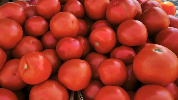 Жители Энгельса смогут приобрести сельхозпродукцию на ярмарке в центре города Жители Энгельса смогут приобрести сельхозпродукцию на ярмарке в центре города
