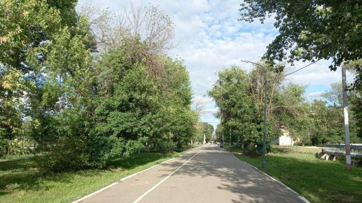 В Саратовской области весь день будет идти дождь В Саратовской области весь день будет идти дождь
