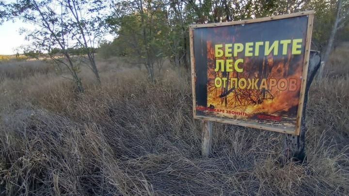 Более 380 гектаров лесов уничтожено огнём с начала года в Саратовской области Более 380 гектаров лесов уничтожено огнём с начала года в Саратовской области