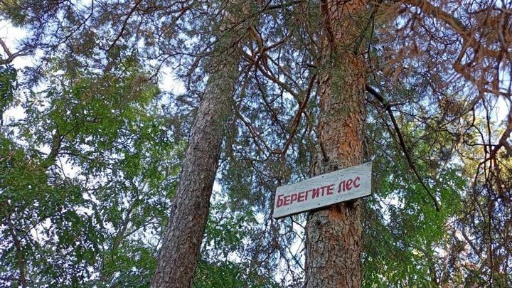 В Саратовской области продлили штормовое предупреждение В Саратовской области продлили штормовое предупреждение