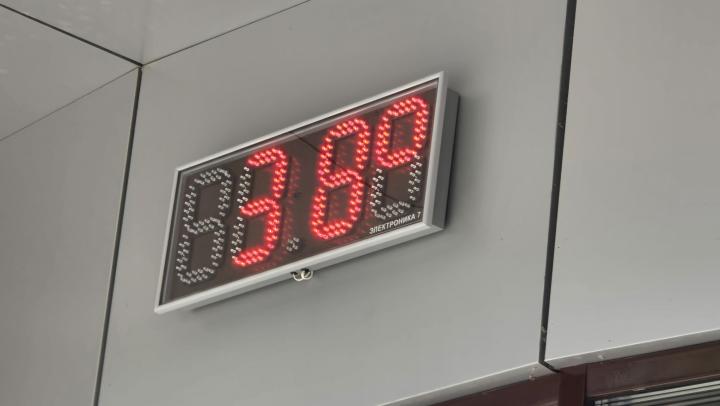 Жара до +39 и прогретая Волга: саратовцев ждут знойные выходные Жара до +39 и прогретая Волга: саратовцев ждут знойные выходные