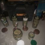 Житель Балашова выращивал коноплю в подвале гаража Житель Балашова выращивал коноплю в подвале гаража