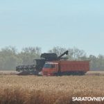 В Самойловском районе собрано 100 тысяч тонн зерна В Самойловском районе собрано 100 тысяч тонн зерна
