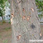 Атака беспилотников в Саратовской области: у повреждённых домов продолжается ликвидация последствий