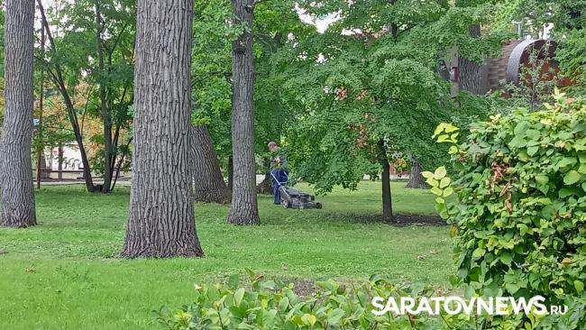 Трагедия в горпарке: на месте гибели девочки саратовцы начали устраивать мемориал Трагедия в горпарке: на месте гибели девочки саратовцы начали устраивать мемориал